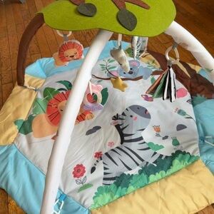 Colorful Baby Play Gym with Animal Friends